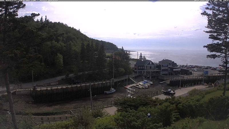 Hall's Harbour