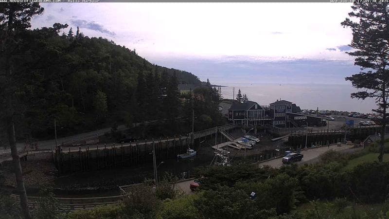 Hall's Harbour