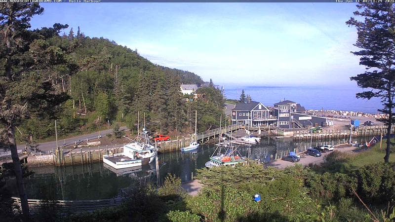 Hall's Harbour