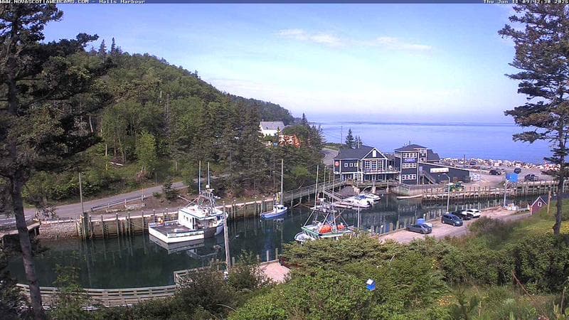 Hall's Harbour