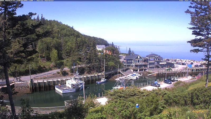 Hall's Harbour