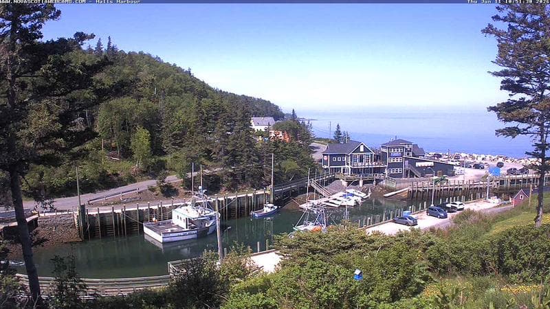 Hall's Harbour