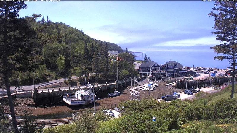 Hall's Harbour