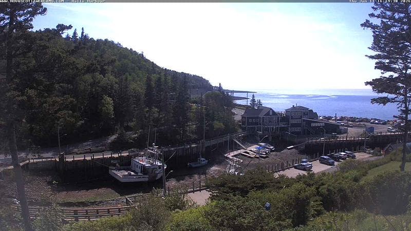 Hall's Harbour