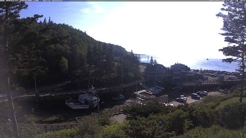 Hall's Harbour