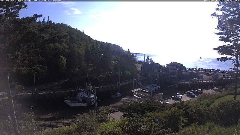 Hall's Harbour