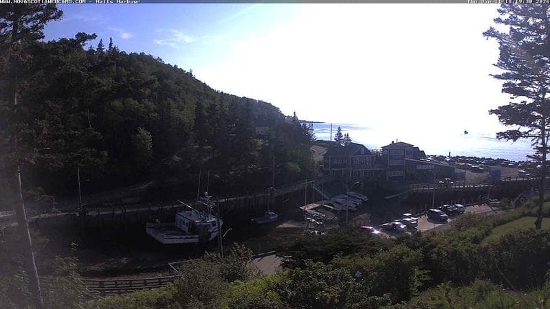 Hall's Harbour