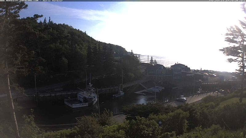 Hall's Harbour