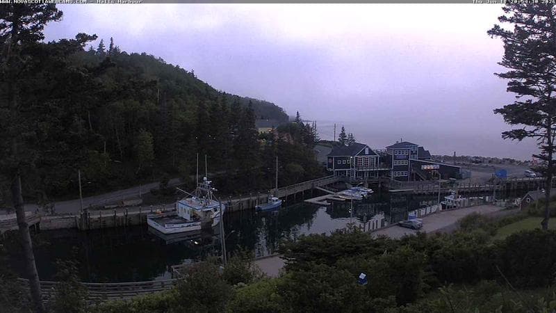 Hall's Harbour