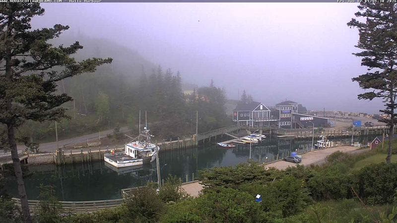 Hall's Harbour