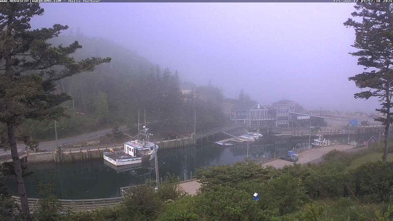 Hall's Harbour