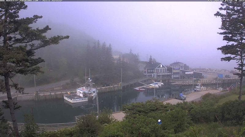 Hall's Harbour