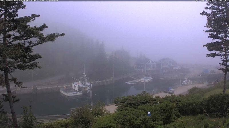 Hall's Harbour