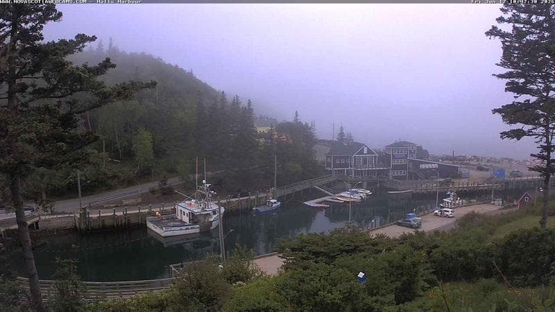 Hall's Harbour