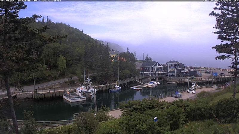 Hall's Harbour