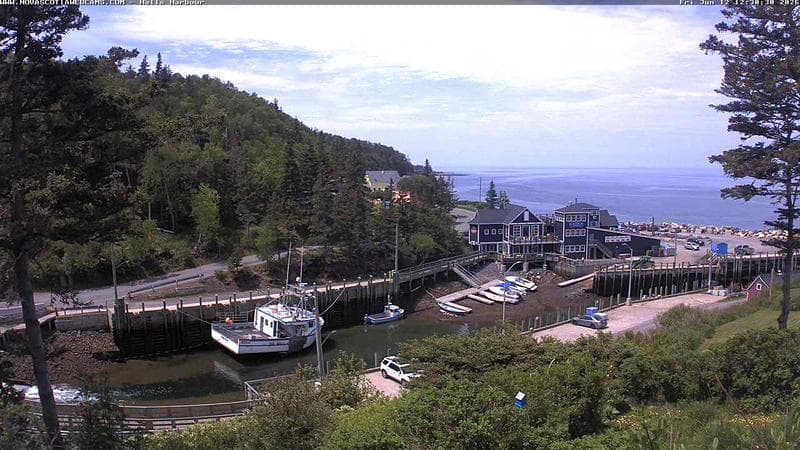 Hall's Harbour