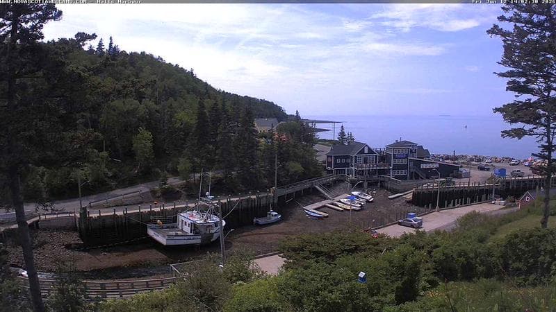 Hall's Harbour