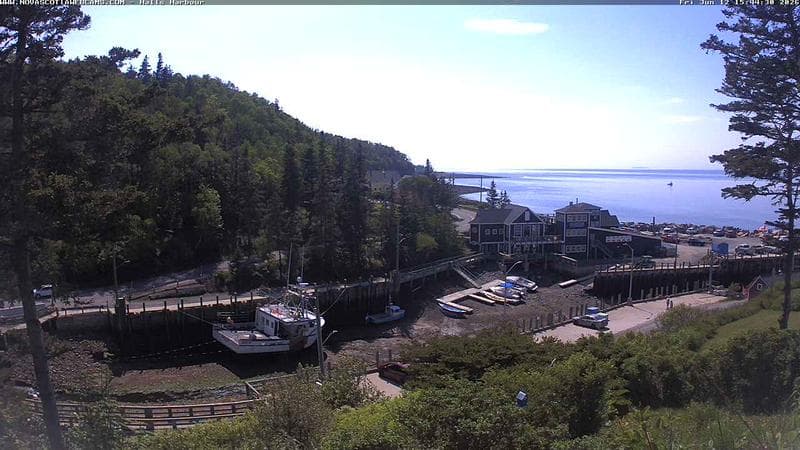Hall's Harbour