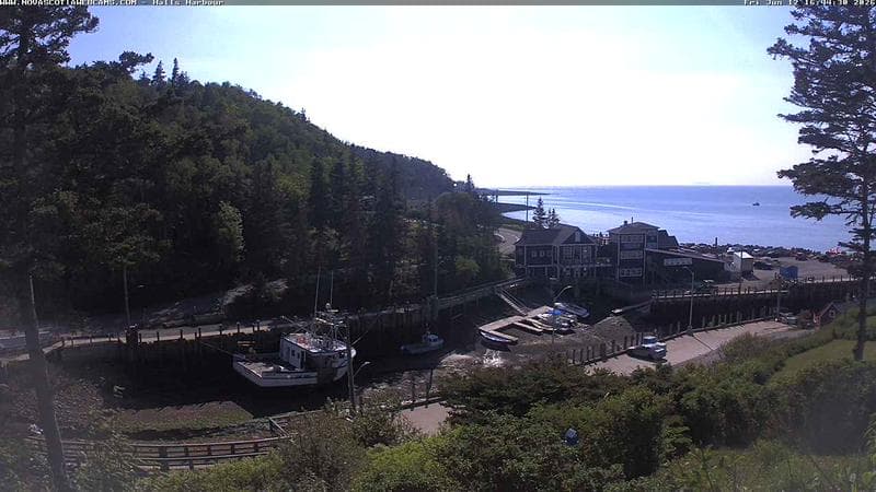Hall's Harbour