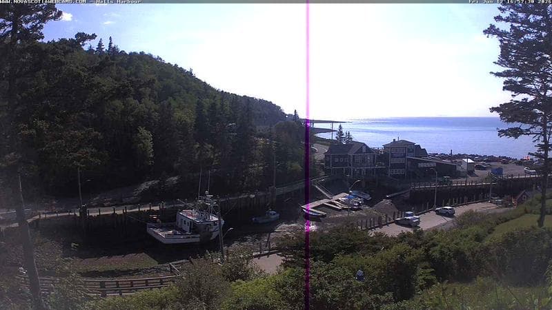 Hall's Harbour
