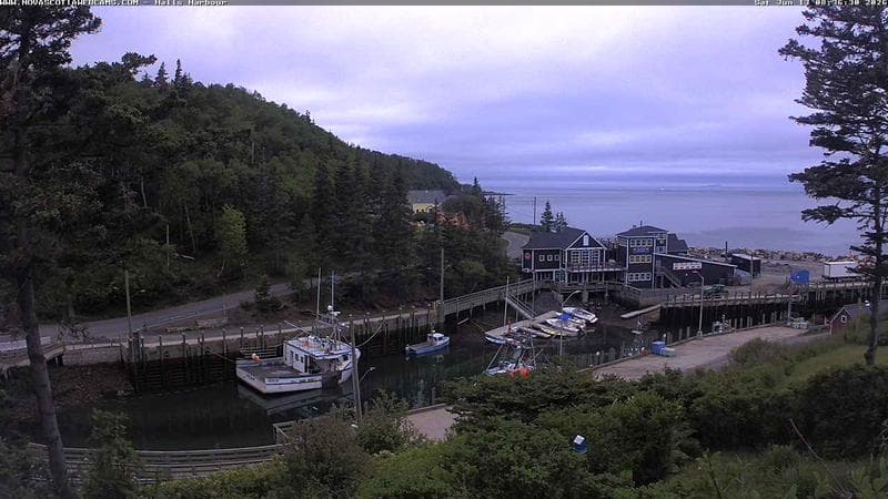 Hall's Harbour