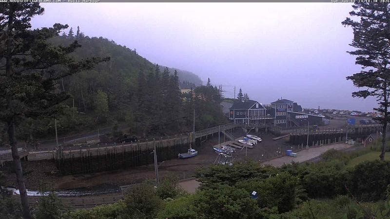 Hall's Harbour