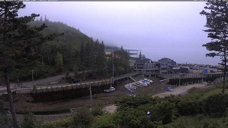 Hall's Harbour
