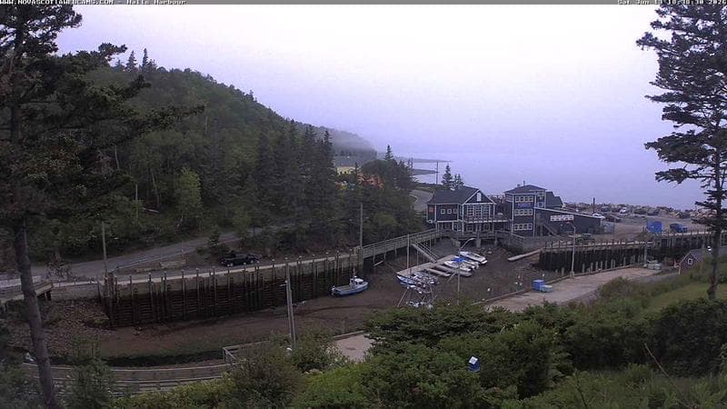 Hall's Harbour