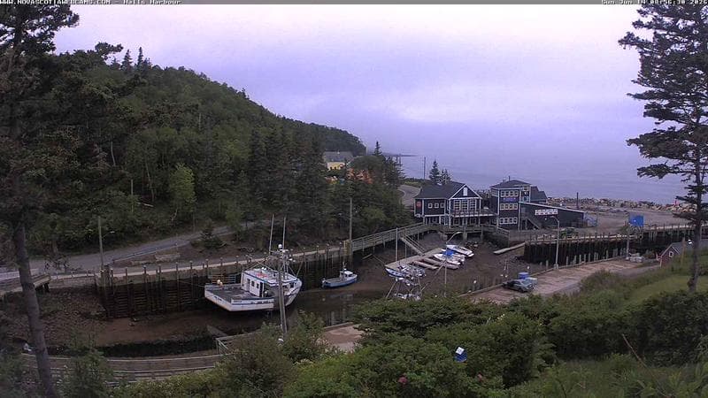Hall's Harbour