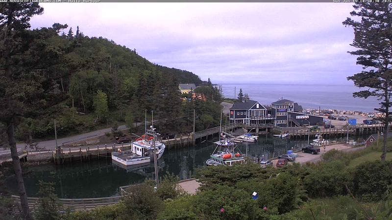 Hall's Harbour