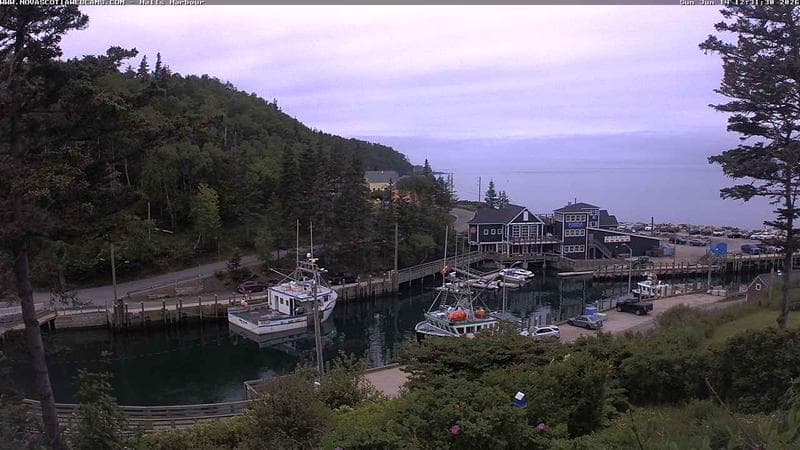 Hall's Harbour