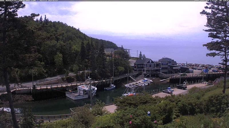 Hall's Harbour