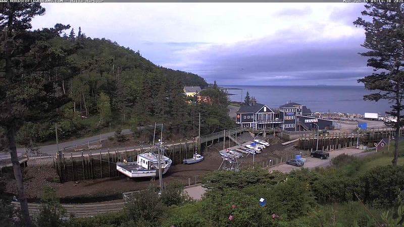 Hall's Harbour