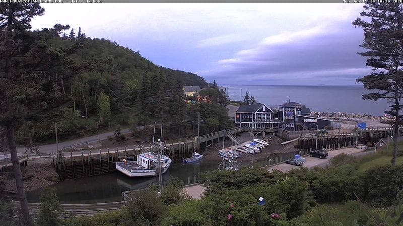 Hall's Harbour