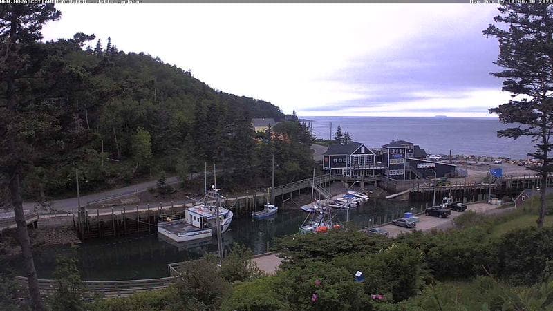 Hall's Harbour
