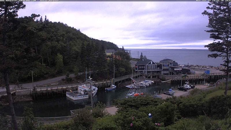 Hall's Harbour