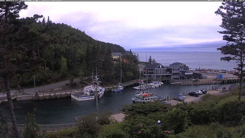 Hall's Harbour