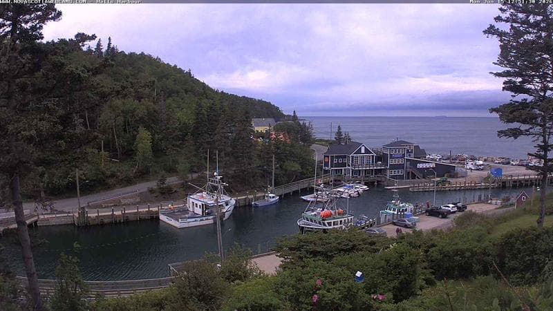 Hall's Harbour
