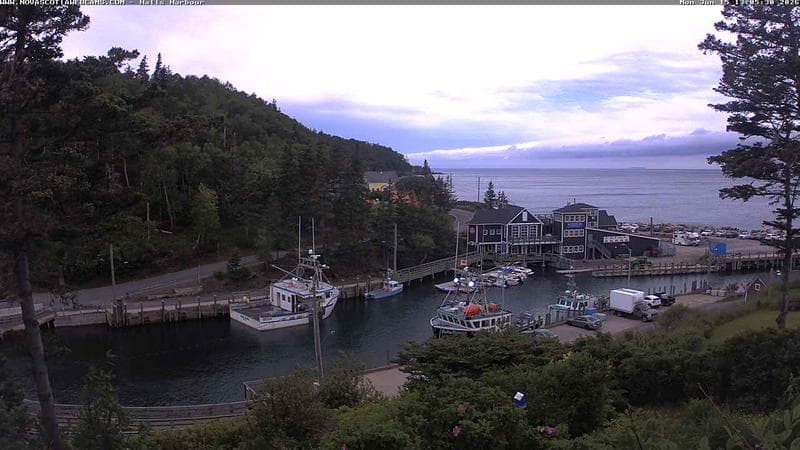 Hall's Harbour