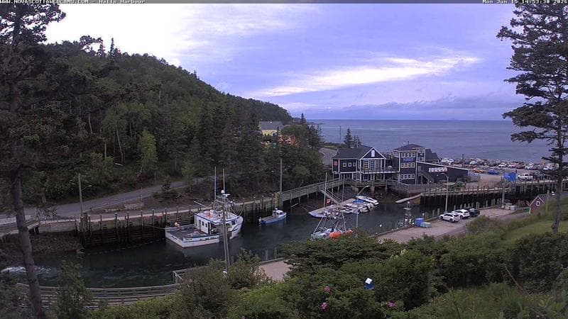 Hall's Harbour