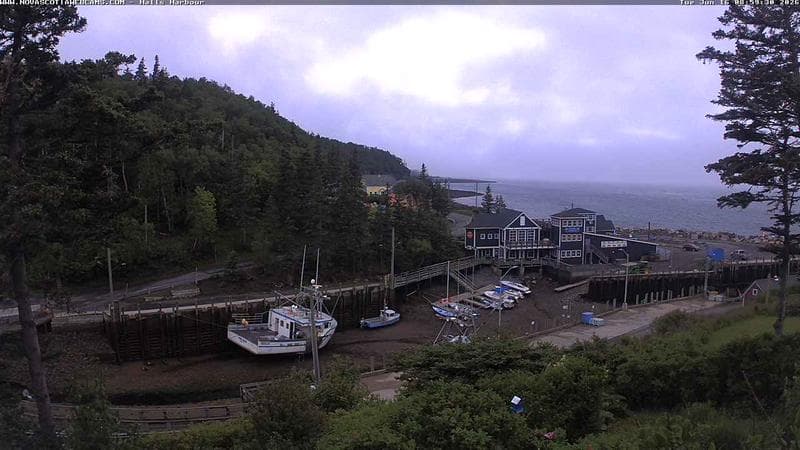 Hall's Harbour