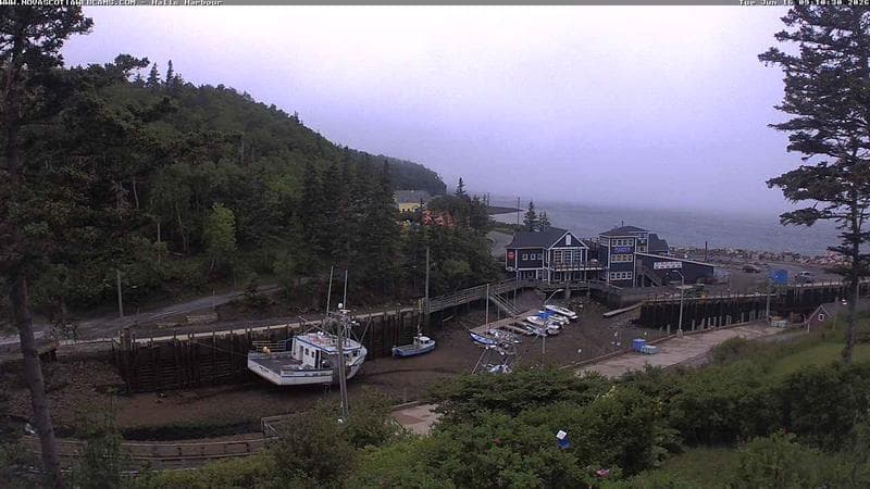 Hall's Harbour