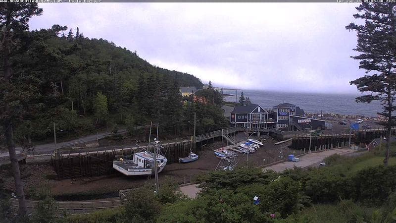 Hall's Harbour
