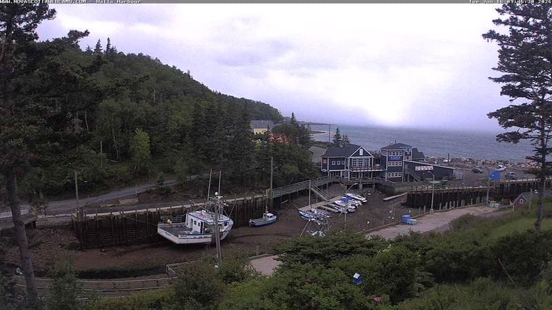 Hall's Harbour