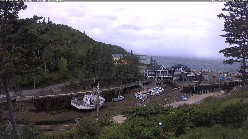 Hall's Harbour