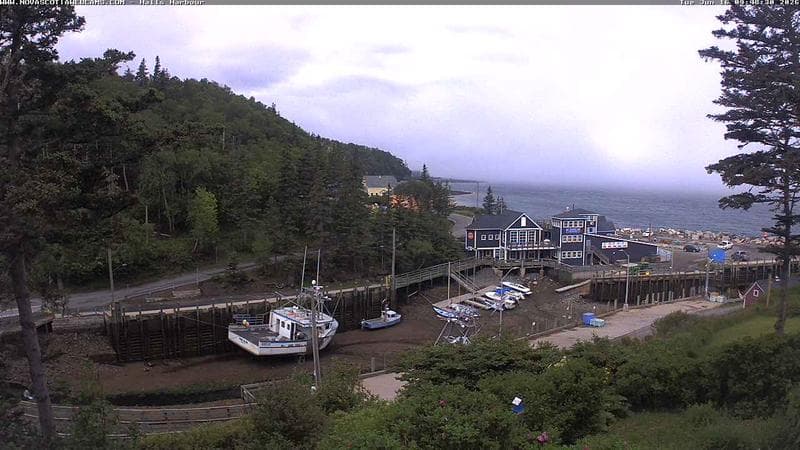 Hall's Harbour