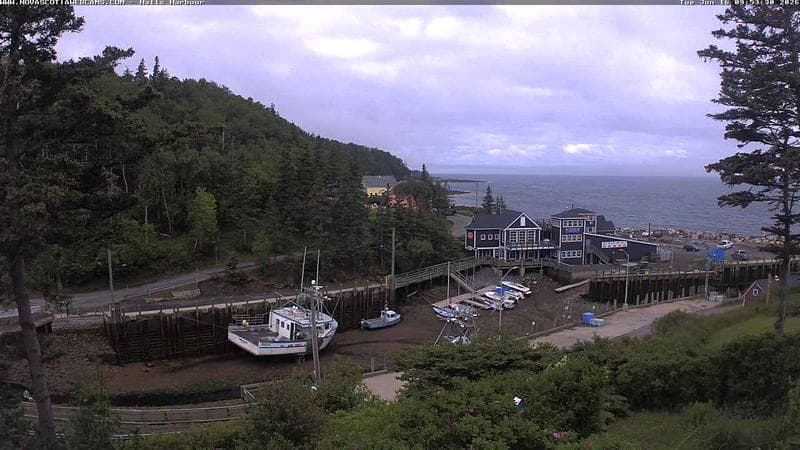 Hall's Harbour