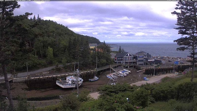 Hall's Harbour