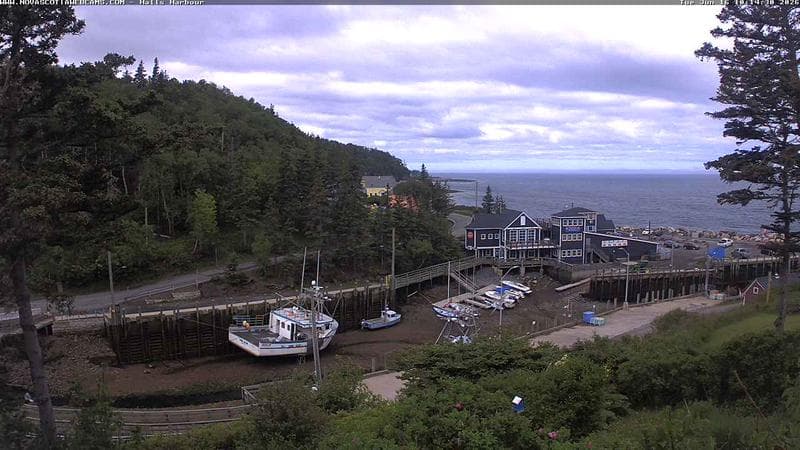Hall's Harbour