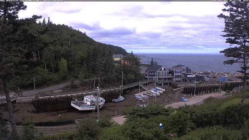 Hall's Harbour